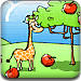 长颈鹿吃苹果