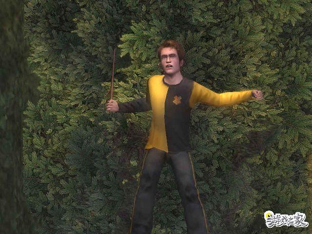 《哈利波特4：火焰杯》详细攻略（图）|Harry Potter and the Goblet of Fire