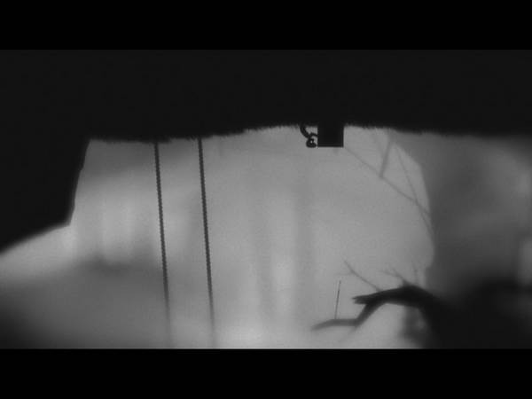 《地狱边境》图文攻略|LIMBO